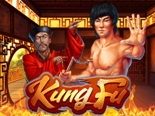 Kungfu game icon